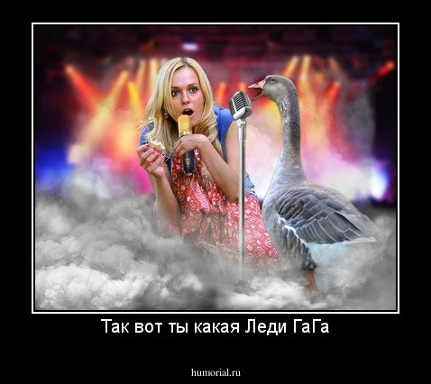 Так вот ты какая Леди ГаГа