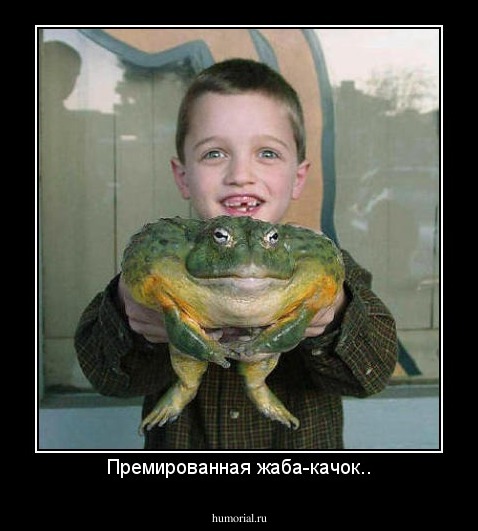 Премированная жаба-качок..