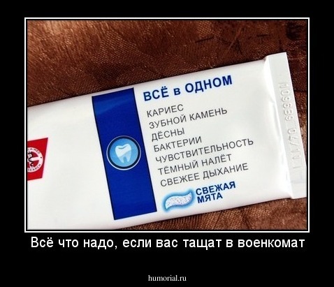 Всё что надо, если вас тащат в военкомат