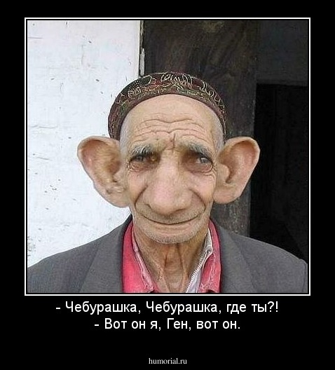 - Чебурашка, Чебурашка, где ты?!
- Вот он я, Ген, вот он.