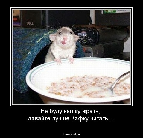 Не буду кашку жрать, 
давайте лучше Кафку читать... 