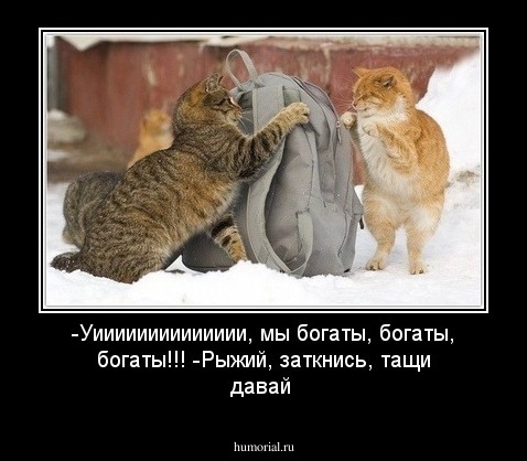 -Уииииииииииииии, мы богаты, богаты, богаты!!!
-Рыжий, заткнись, тащи давай