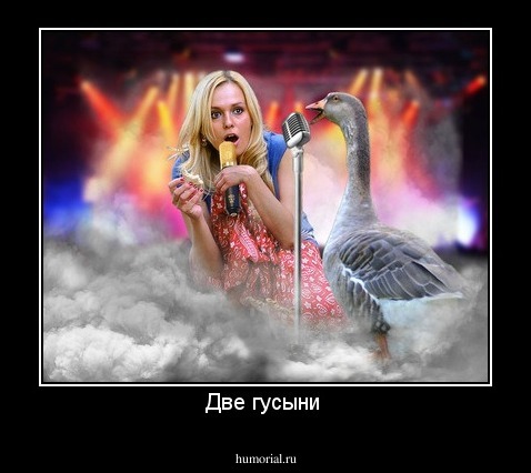 Две гусыни 