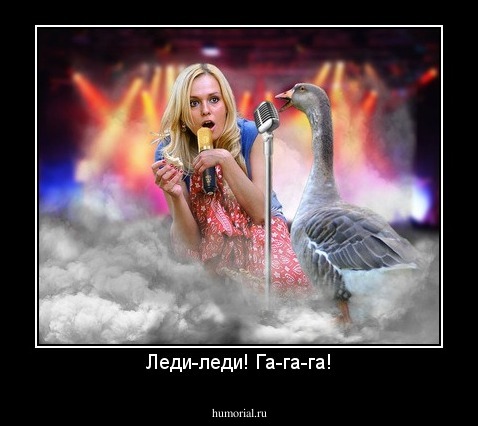 Леди-леди! Га-га-га!
