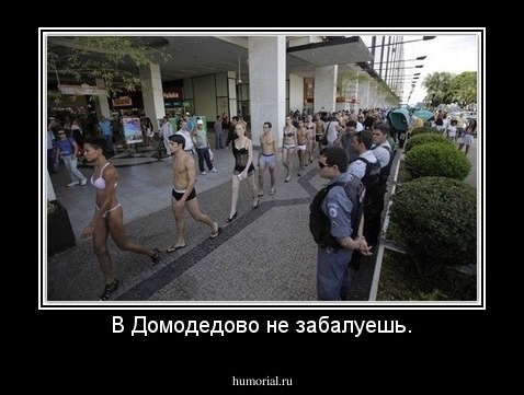 В Домодедово не забалуешь.