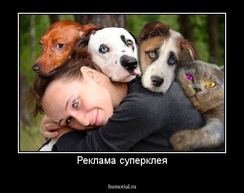 Реклама суперклея