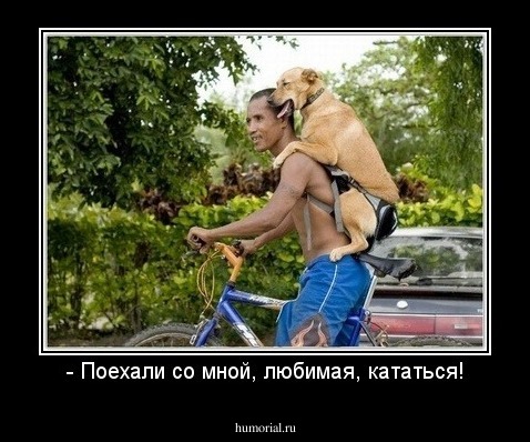- Поехали со мной, любимая, кататься!