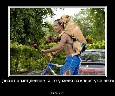 Хозяин! Давай по-медленнее, а то у меня памперс уже не впитывает!