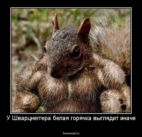 У Шварцнеггера белая горячка выглядит иначе