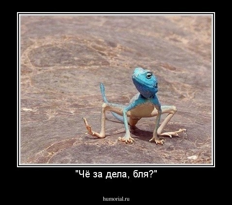 "Чё за дела, бля?"