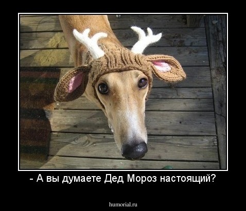 - А вы думаете Дед Мороз настоящий?