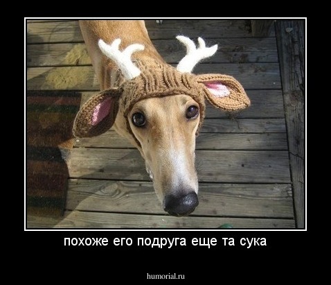 похоже его подруга еще та сука