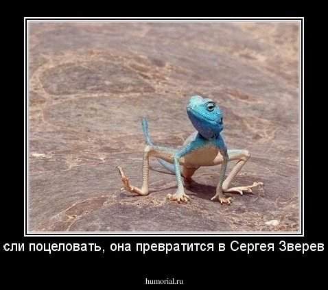 если поцеловать, она превратится в Сергея Зверева