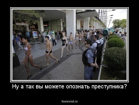 Ну а так вы можете опознать преступника?