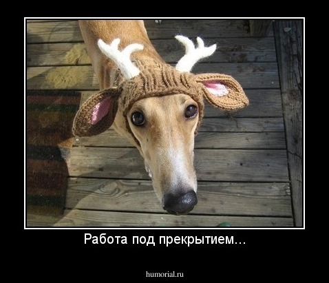 Работа под прекрытием...