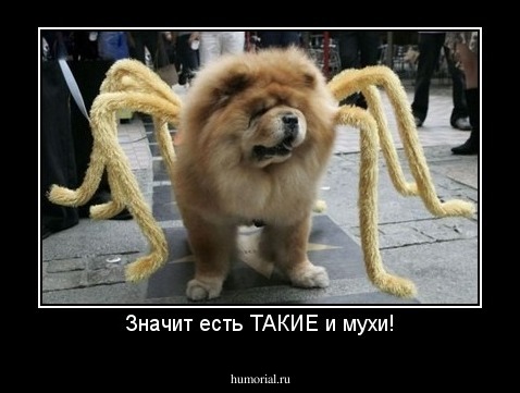 Значит есть ТАКИЕ и мухи!