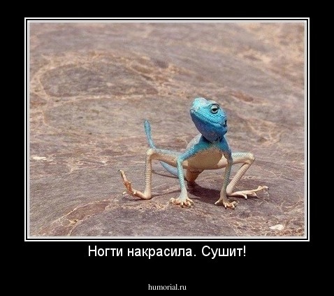 Ногти накрасила. Сушит!