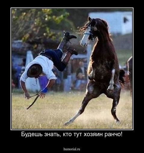 Будешь знать, кто тут хозяин ранчо!