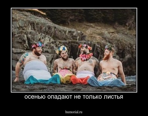 осенью опадают не только листья