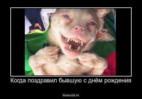 Когда поздравил бывшую с днём рождения