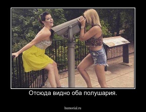 Отсюда видно оба полушария.