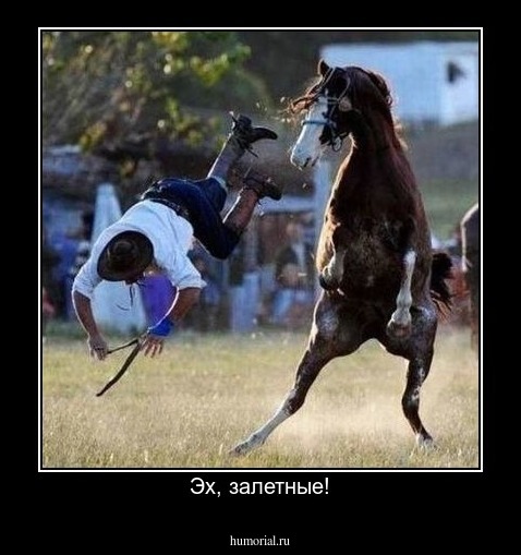Эх, залетные!