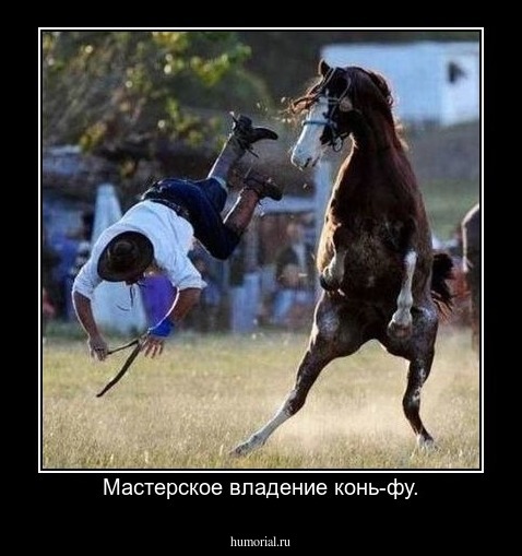 Мастерское владение конь-фу.
