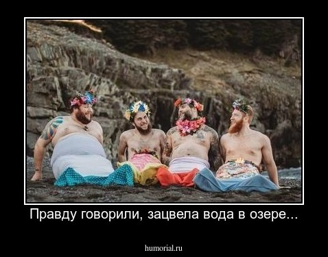 Правду говорили, зацвела вода в озере...