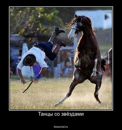Танцы со звёздами