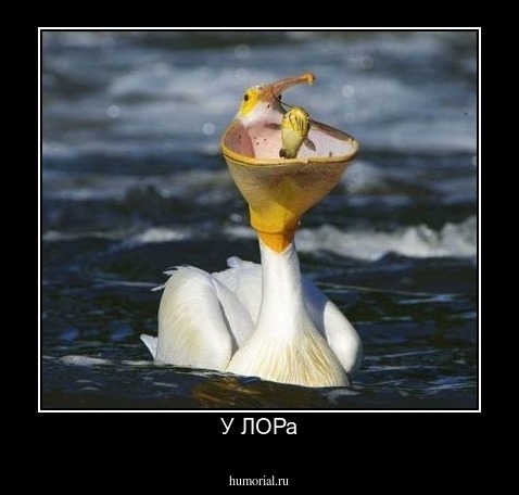 У ЛОРа