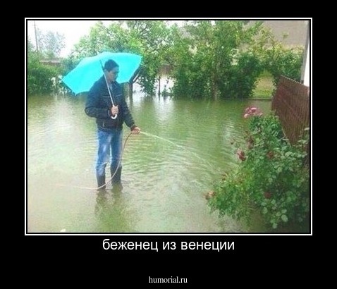 беженец из венеции