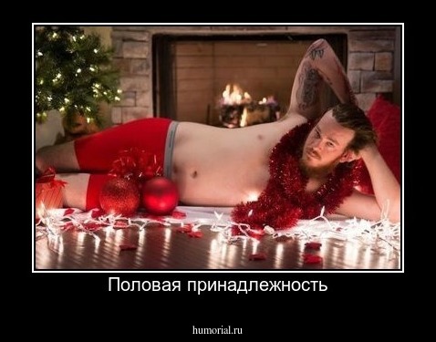 Половая принадлежность