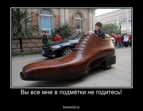 Вы все мне в подмётки не годитесь!