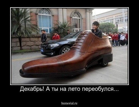 Декабрь! А ты на лето переобулся...