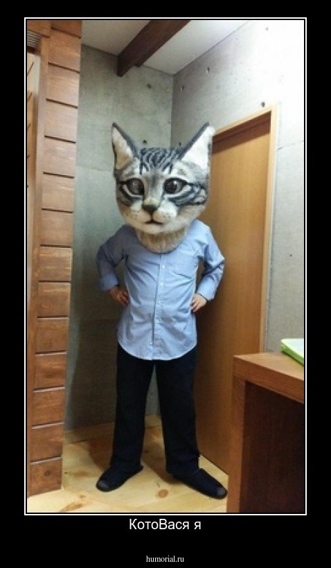 КотоВася я