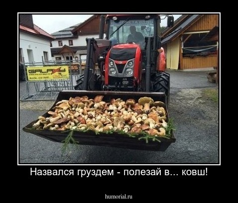 Назвался груздем - полезай в... ковш!