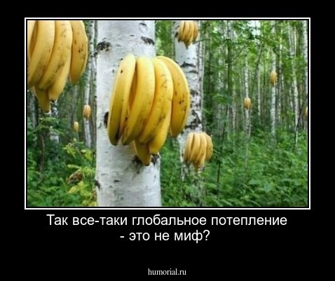 Так все-таки глобальное потепление - это не миф?