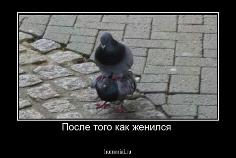 После того как женился 