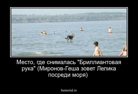 Место, где снималась "Бриллиантовая рука" (Миронов-Геша зовет Лелика посреди моря)