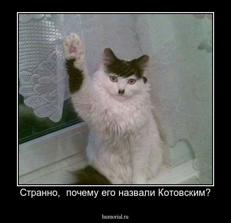 Странно,  почему его назвали Котовским?