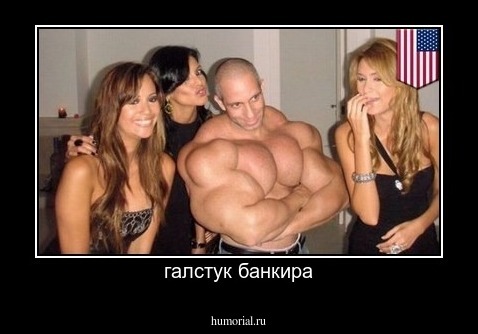 галстук банкира