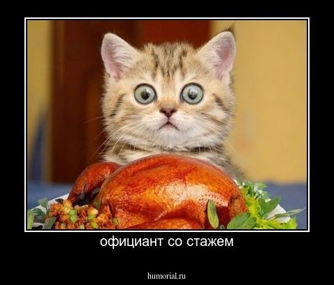 официант со стажем