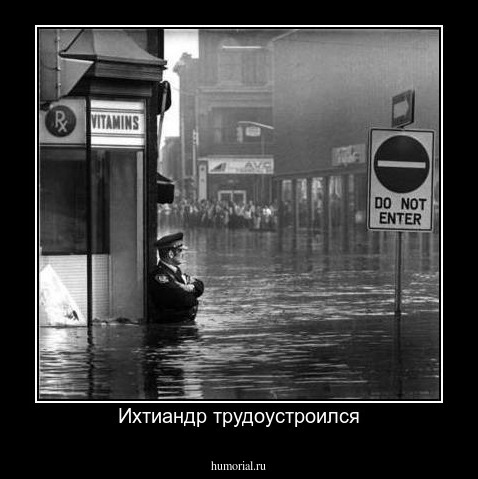 Ихтиандр трудоустроился