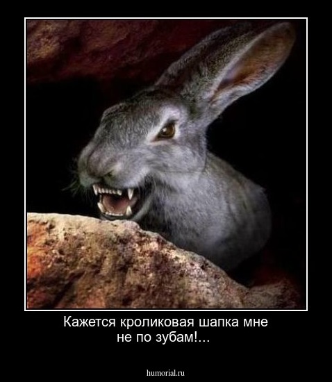Кажется кроликовая шапка мне не по зубам!...
