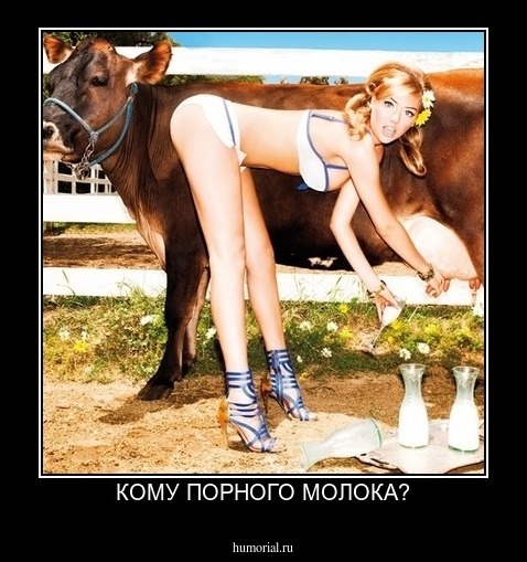КОМУ ПОРНОГО МОЛОКА?