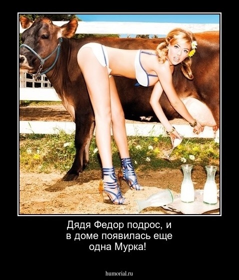 Дядя Федор подрос, и в доме появилась еще одна Мурка! 