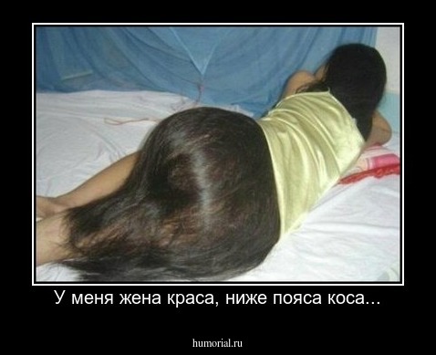 У меня жена краса, ниже пояса коса...
