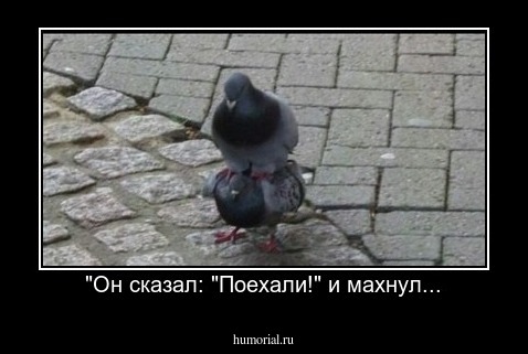 "Он сказал: "Поехали!" и махнул...