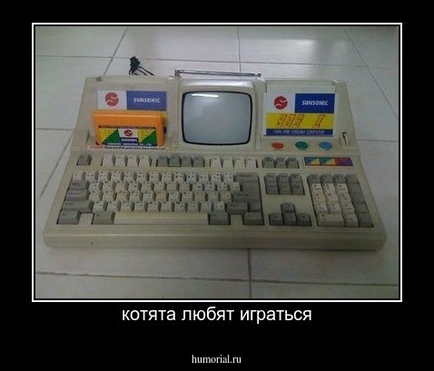 котята любят играться