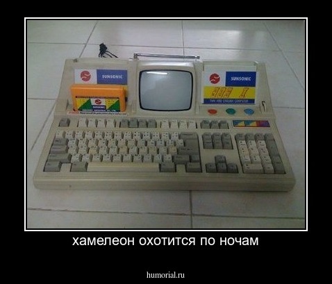 хамелеон охотится по ночам